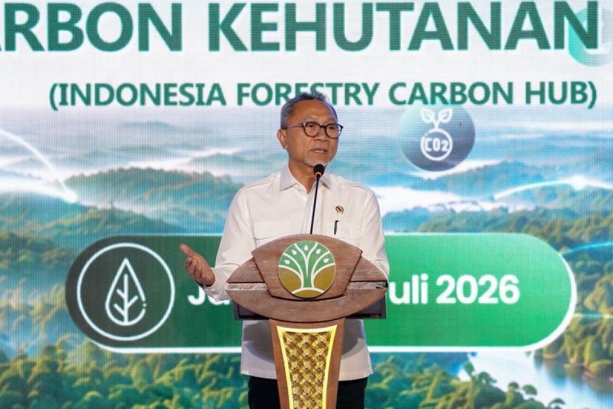 Zulhas: Regulasi teknis NEK fondasi perdagangan karbon kehutanan