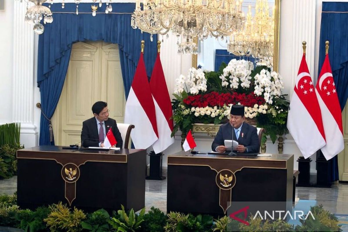 Prabowo tunjuk Danantara laksanakan perdagangan listrik ke Singapura