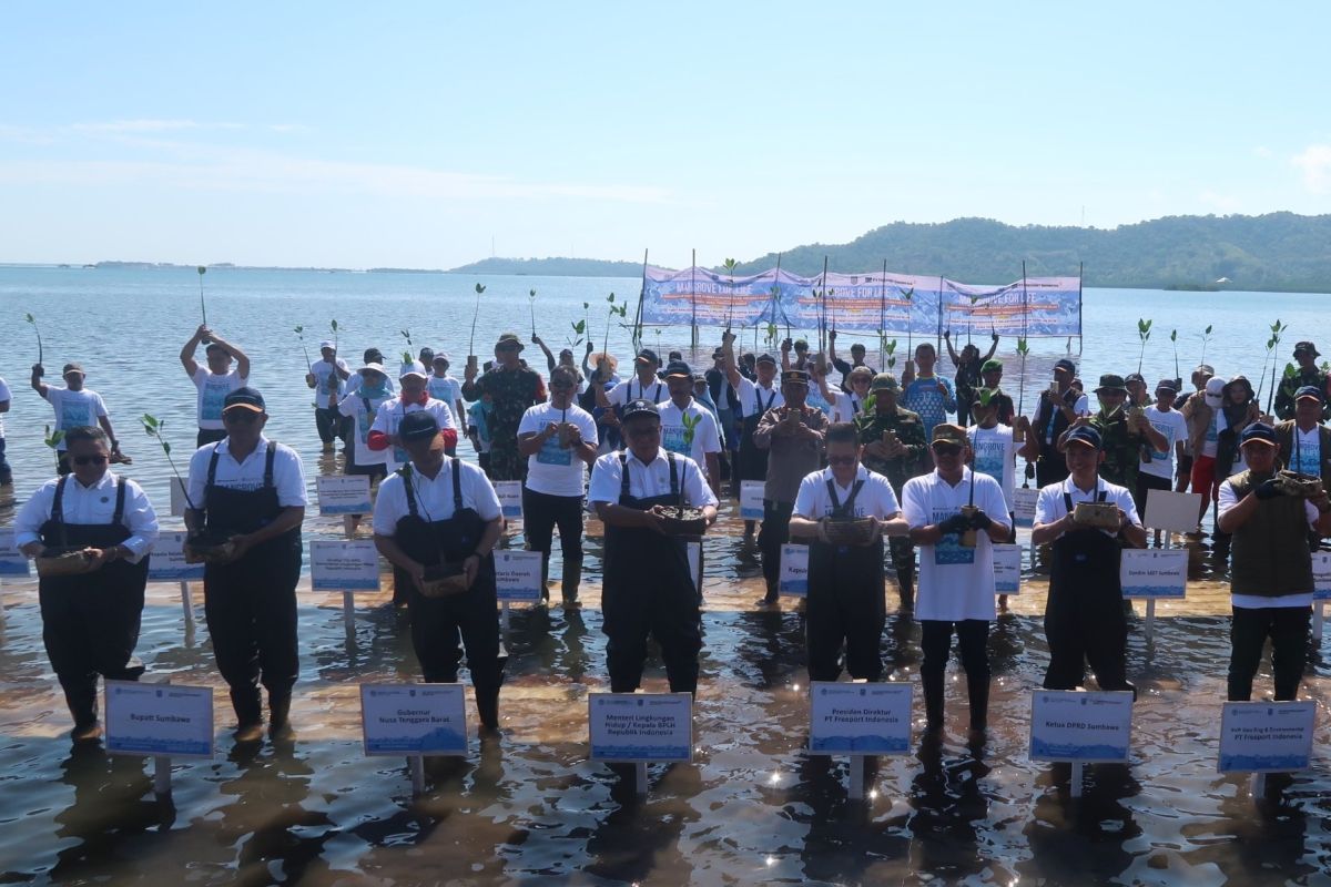 Freeport tuntaskan rehabilitasi 484 hektare mangrove di NTB