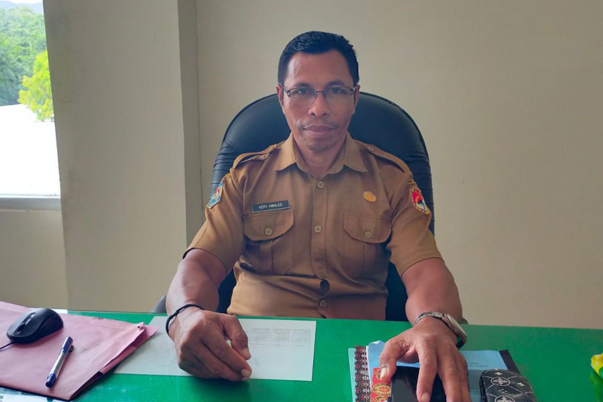 Pemkab Sikka dorong pustakawan jadi fasilitator informasi digital