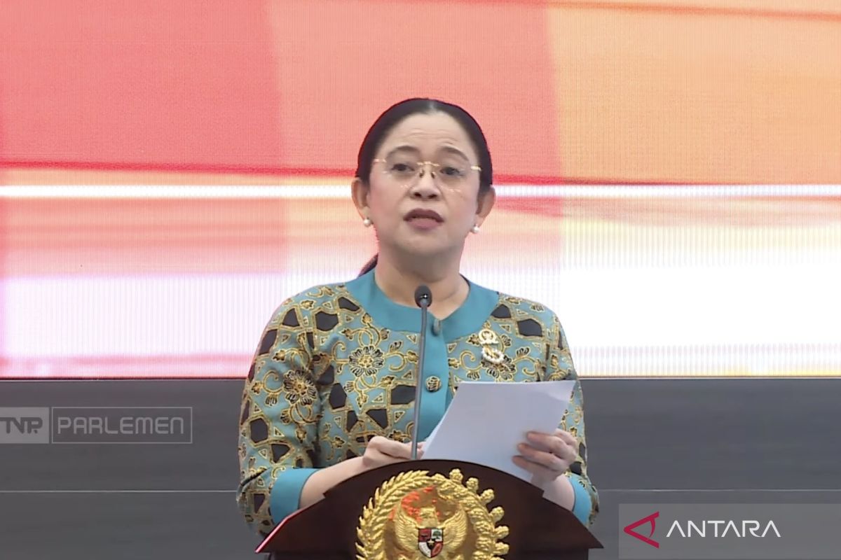 Puan: RI-India punya tanggung jawab bersama jaga stabilitas kawasan