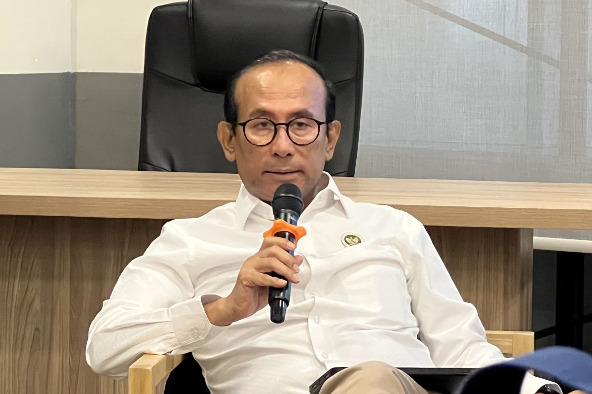 DEN tegaskan strategi transisi energi Indonesia tidak hapus fosil