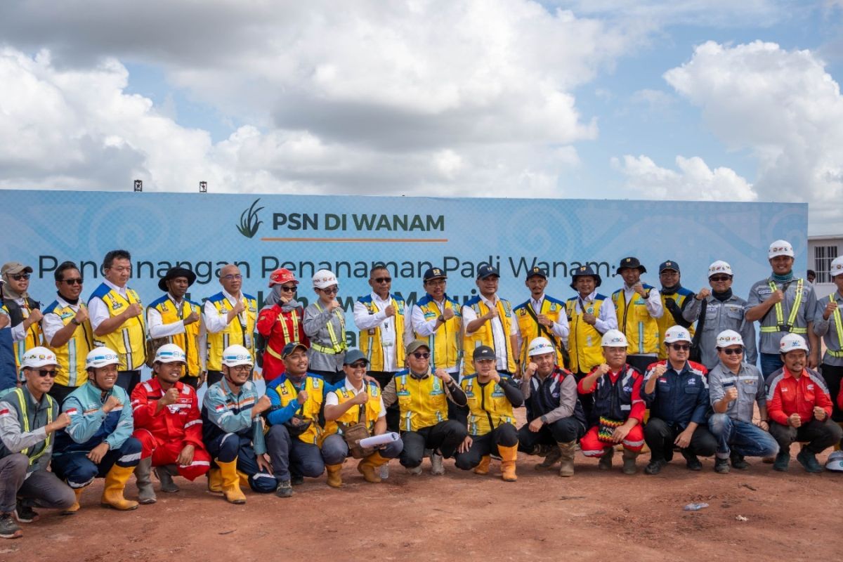 Penanaman Padi Dimulai di Wanam, Infrastruktur WIKA Dukung Tumbuhnya Sentra Pangan Baru di Papua Selatan