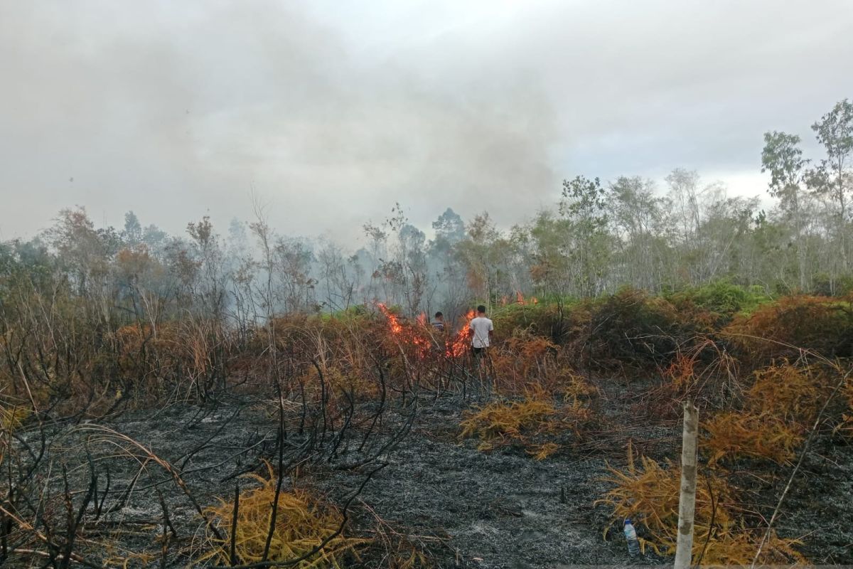 Sedikitnya 12 orang tewas akibat kebakaran hutan di Andalusia, Spanyol