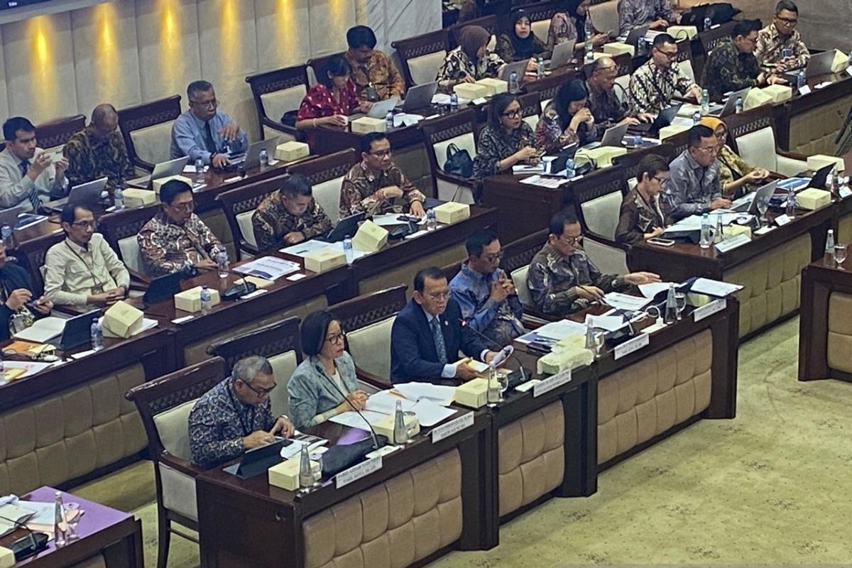 OJK Dukung Pembentukan Lembaga Pengawas Jasa Keuangan di PFII