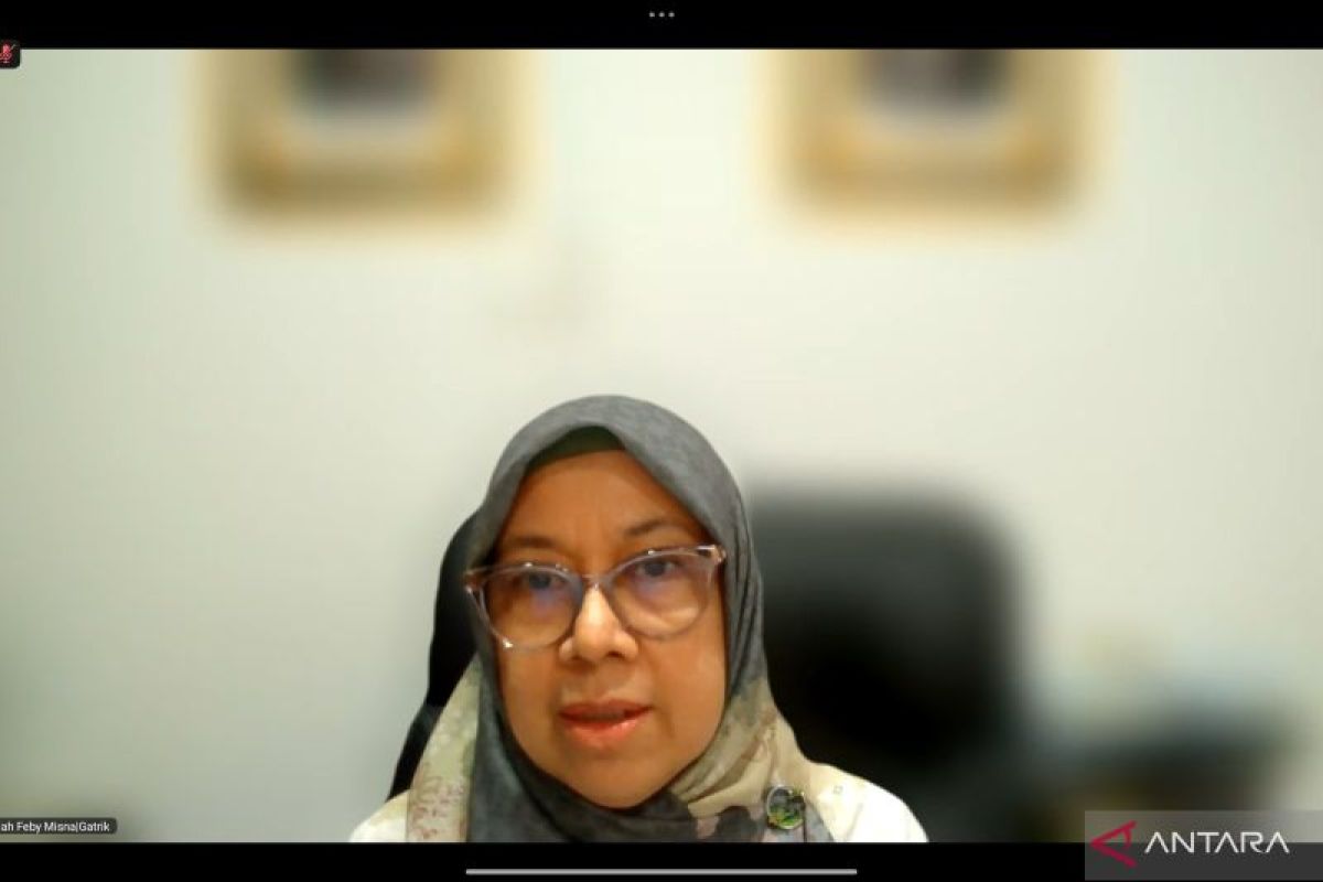Misi Surya: Pemerintah Janjikan Listrik 24 Jam untuk 10.000 Desa Terpencil, Tapi Apa Kabar Realisasinya?