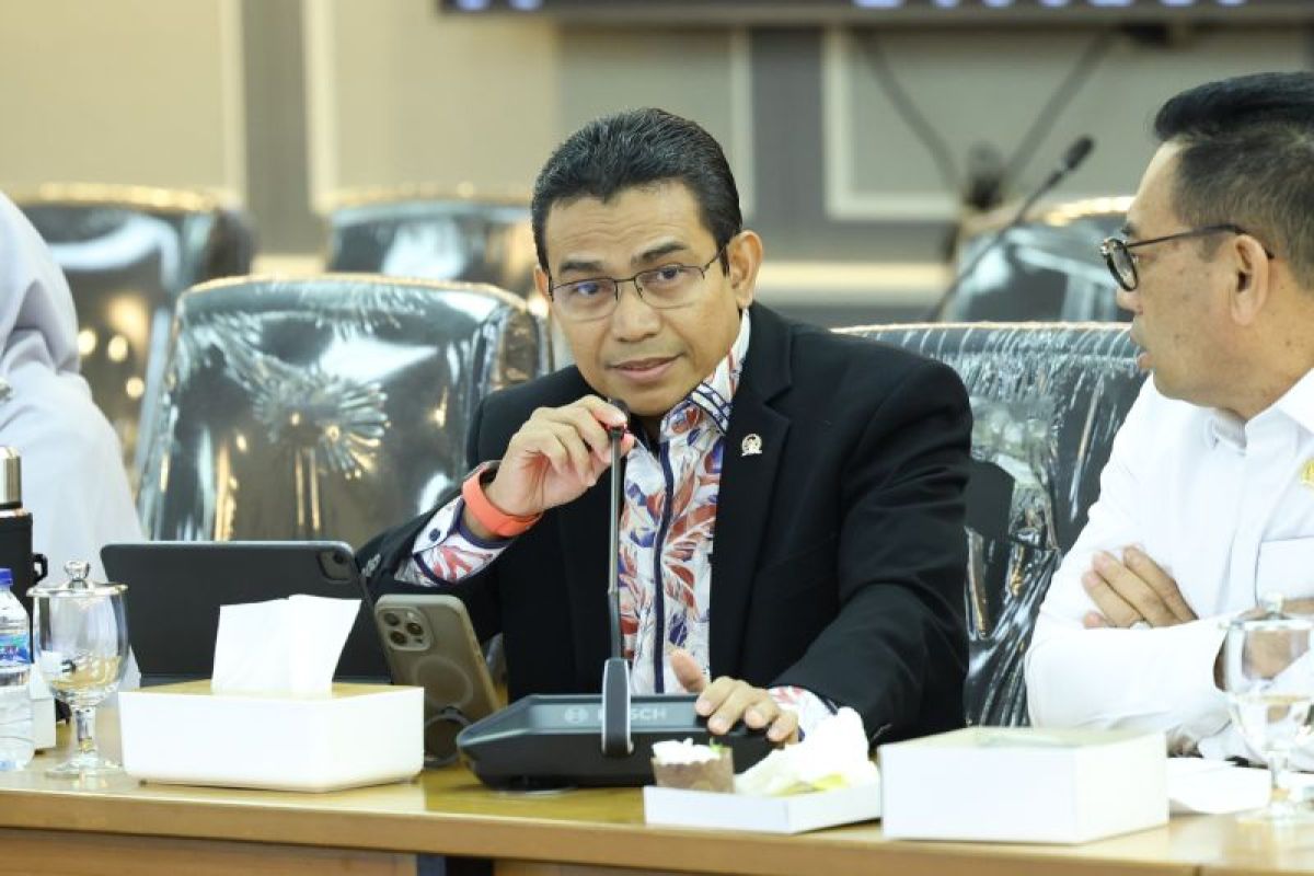 Legislator dorong Kepulauan Meranti masuk RUU Daerah Kepulauan