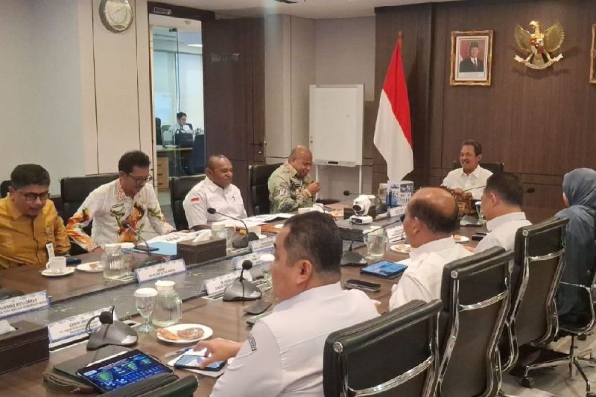 Pemprov Papua targetkan Pelabuhan Depapre layani WPPNRI 717