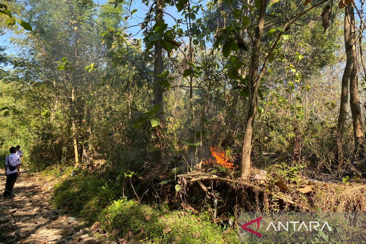Karhutla Kembali Membakar Sukoharjo: BNPB Klaim Penanganan Maksimal, Namun Apa yang Terlewat?