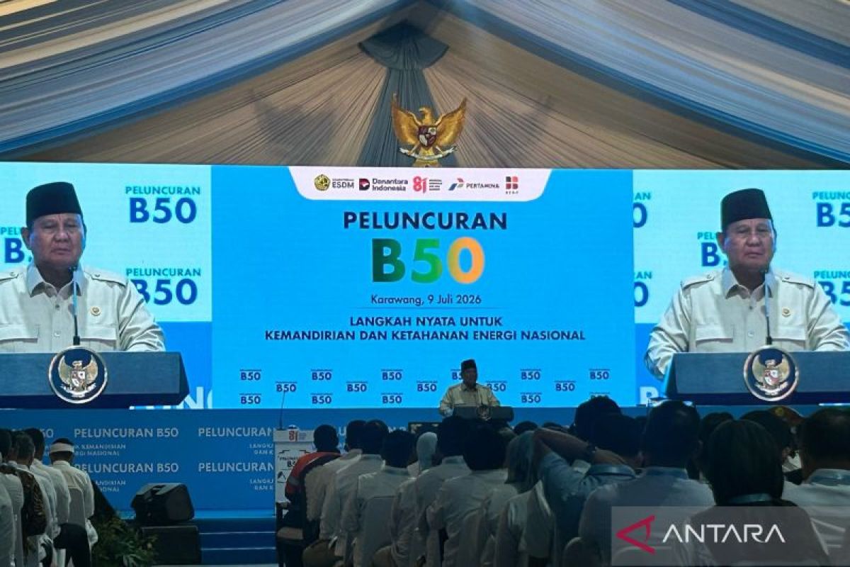 Terungkap! Ladang Gas Raksasa di Andaman dan Cadangan Mineral Papua: Janji Kemandirian Energi atau Politik Panggung?