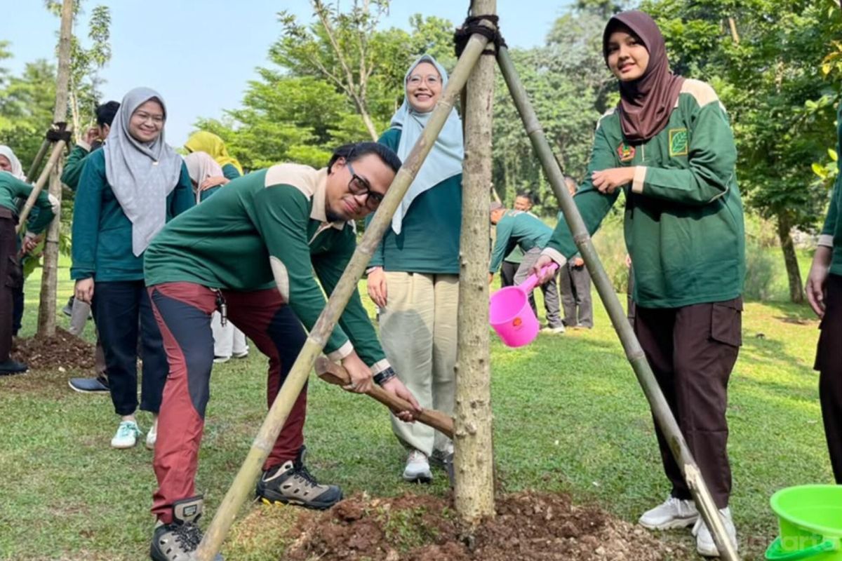 Jakarta Selatan Giat Tanam: Lima Pohon Tabebuya Pink di Taman Casuarina – Janji Hijau atau Sekadar Hiasan?