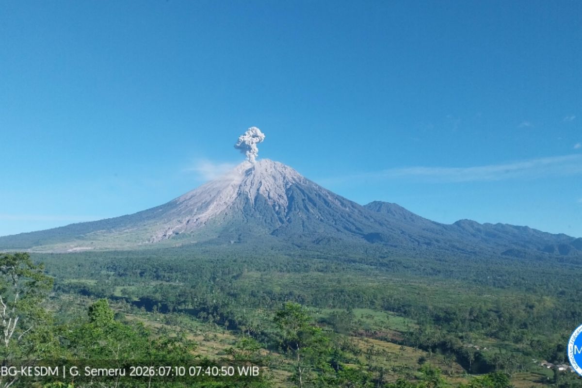 Gunung semeru erupsi enam kali dengan tinggi letusan hingga 1,3 km