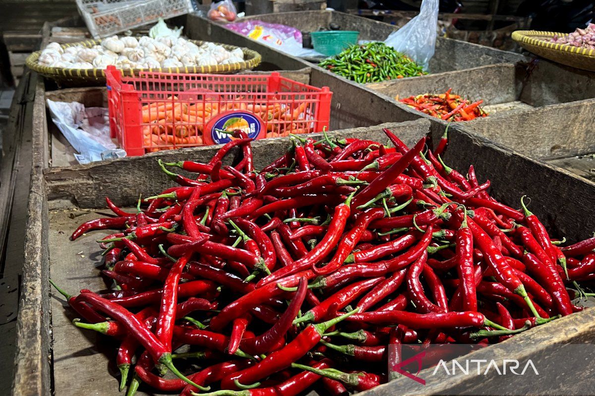 Harga Cabai Rawit Merah Melonjak ke Rp60.700/kg: Apa Penyebabnya dan Dampaknya bagi Konsumen?