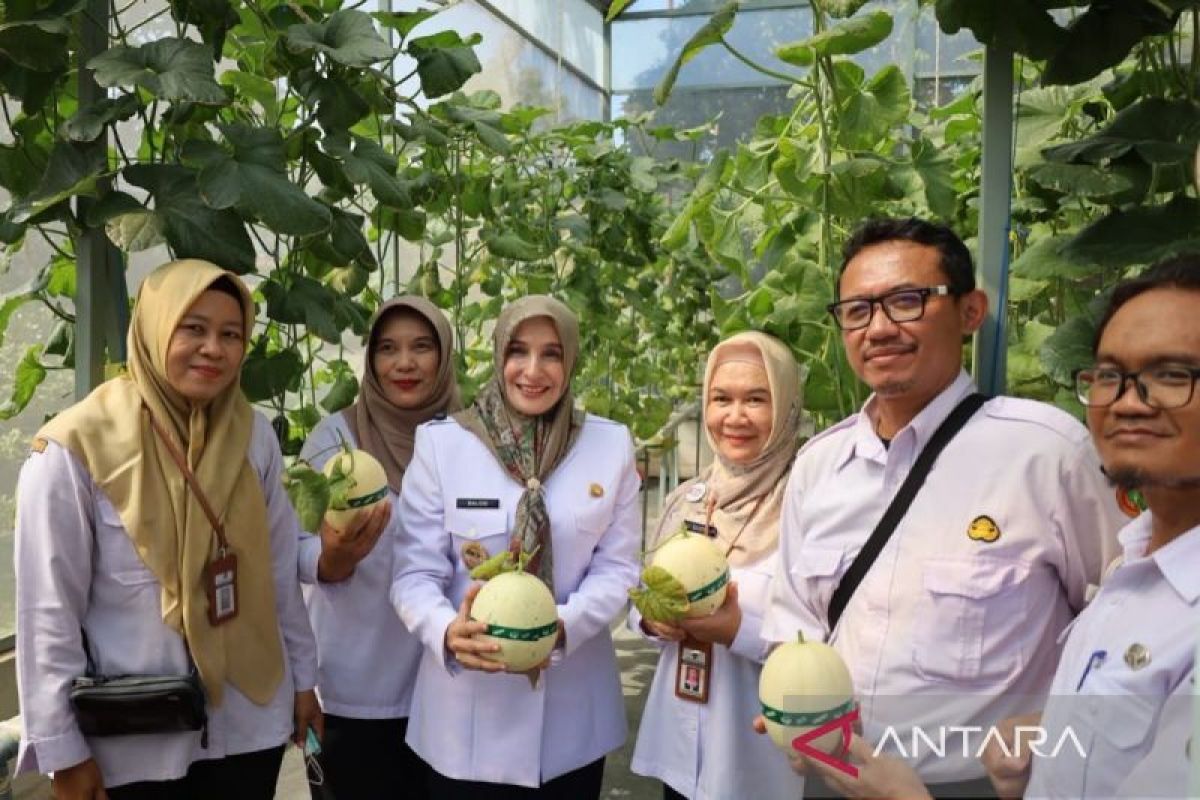 Pemkot Pekalongan bantu poktan alsintan tingkatkan produktivitas dari Kementerian Pertanian