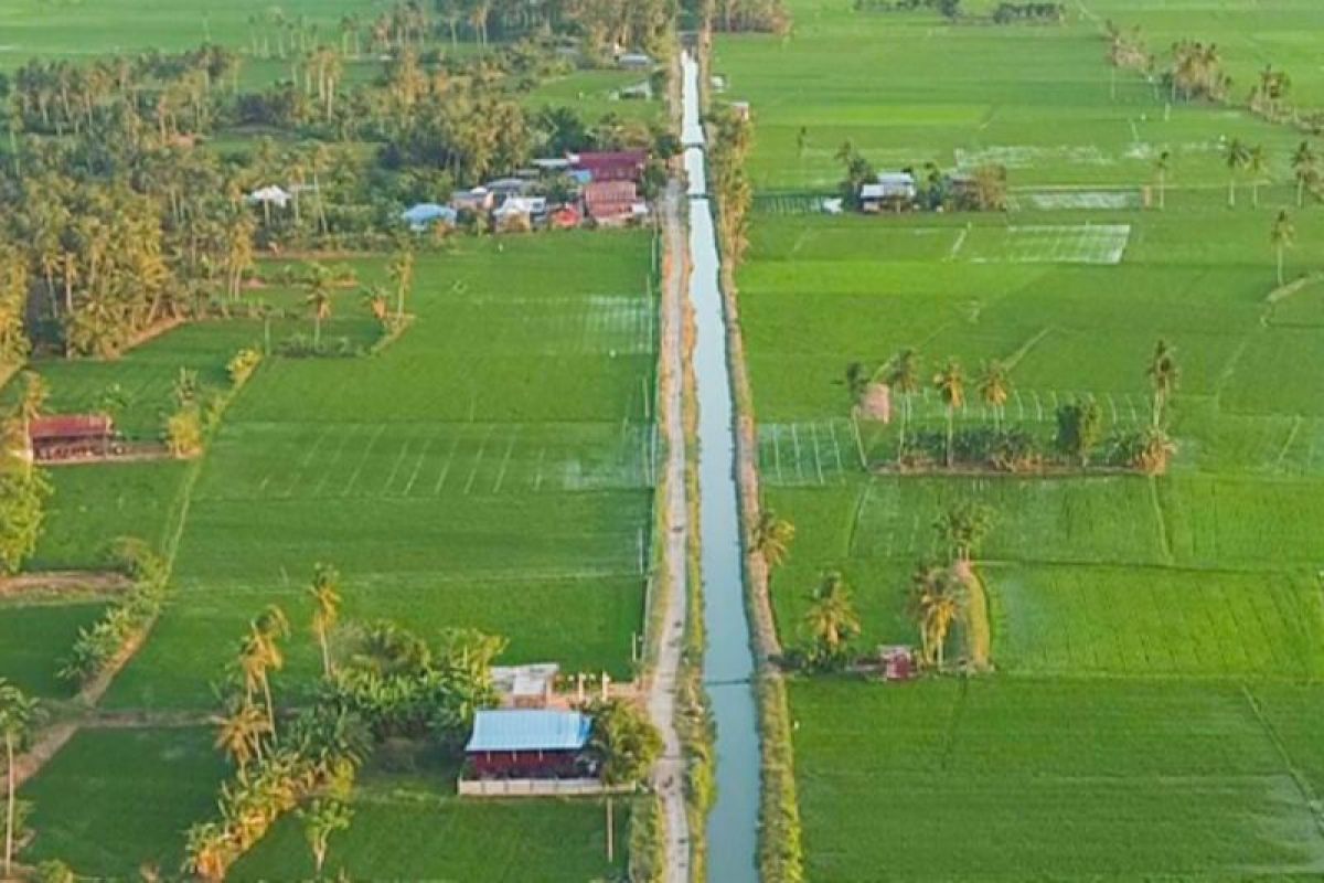 8.945 hektare irigasi di Sidrap direhabilistasi