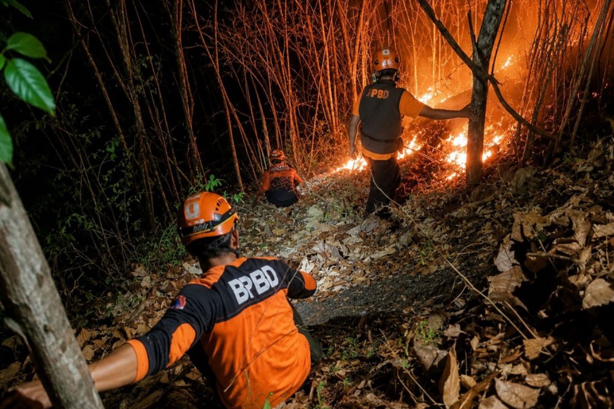 Kebakaran Mini di Gunung Puncang: Respons Cepat atau Tanda Kegagalan Penanganan Bencana Jangka Panjang?