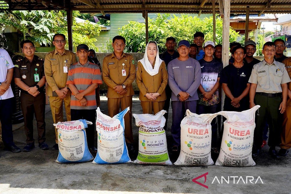 Natuna Distribusikan 188 Ton Pupuk Subsidi ke 733 Petani: Janji Peningkatan Produksi atau Risiko Penyalahgunaan?