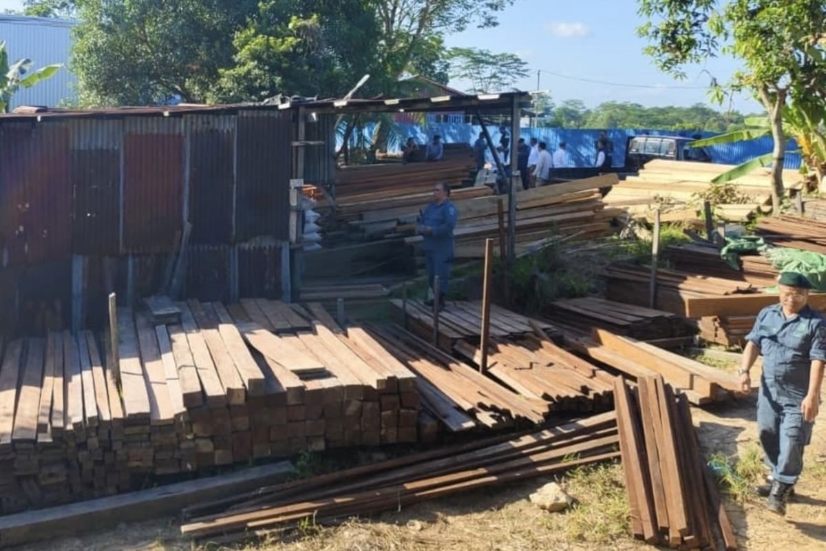 Skenario 'Dokumen Hantu': Menguak Gurita Kayu Ilegal di Balikpapan
