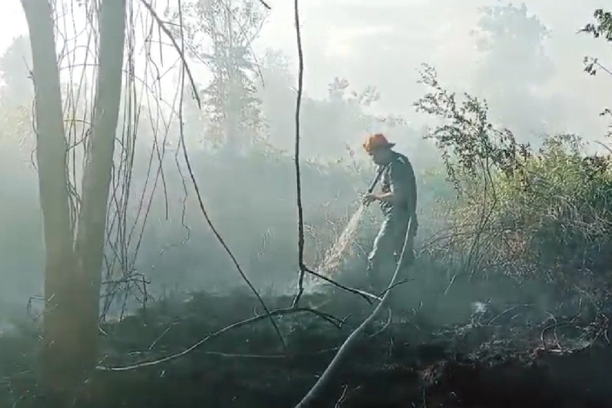 Sudah 151 hektare lahan terbakar di Kotim