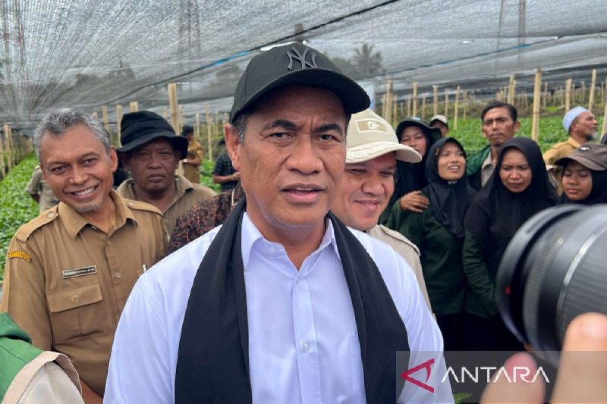 Harga Kopi Gayo Melonjak: Janji Pemerintah atau Sekadar Janji Politik?