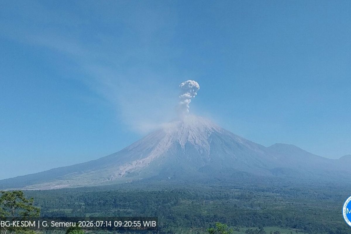 Semeru Mengguncang Langit: Kolom Abu Setinggi 1,3 km, Warga Dilarang Masuk 5 km dari Kawah!
