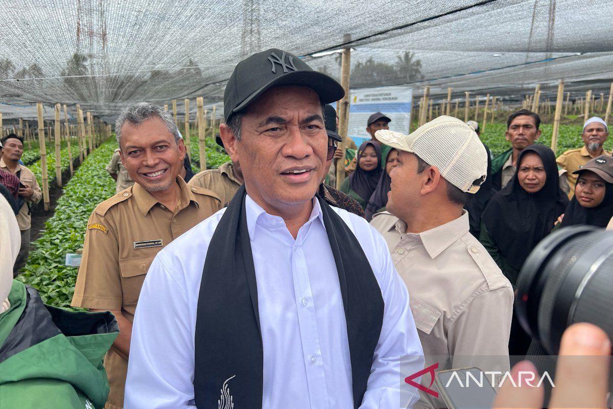 Mentan: Ekspor satu pintu perkuat posisi tawar komoditas Indonesia