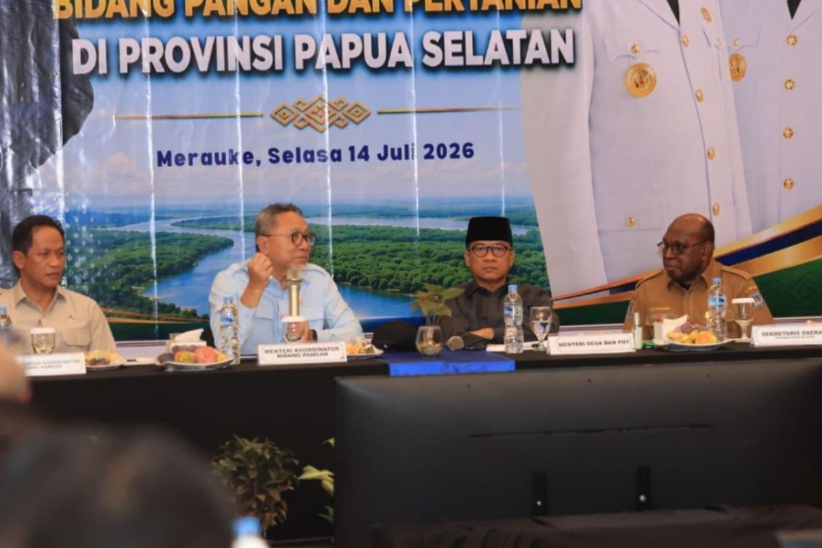 Menteri Zulhas sebut percepatan sentra pangan di Papua Selatan perlu disosialisasikan