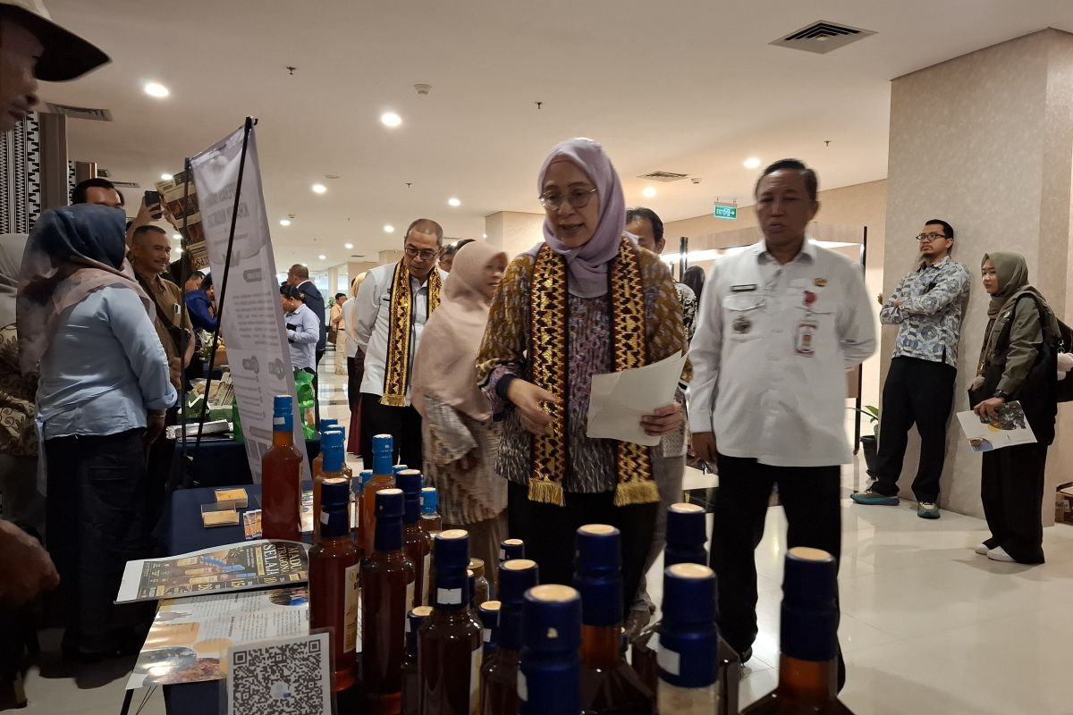 Kemenhut sebut pembiayaan terpadu percepat usaha perhutanan sosial mandiri