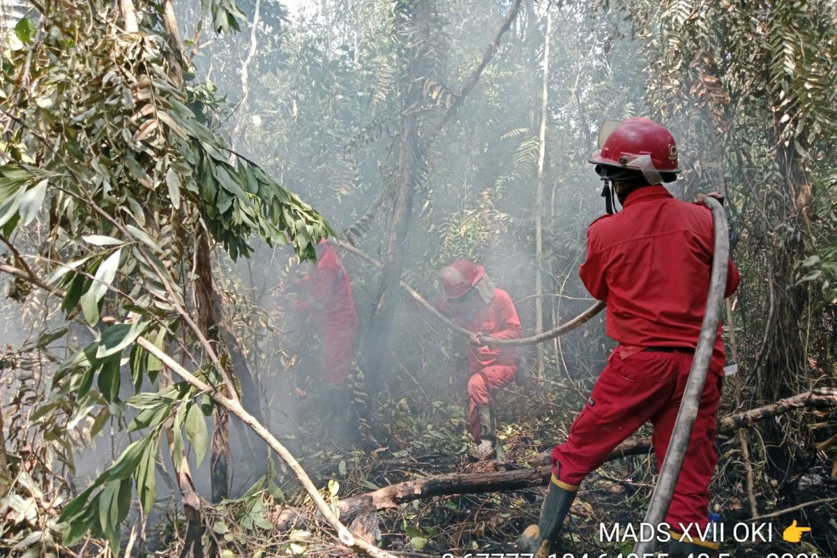 Manggala Agni padamkan karhutla di Banyuasin dan OKU