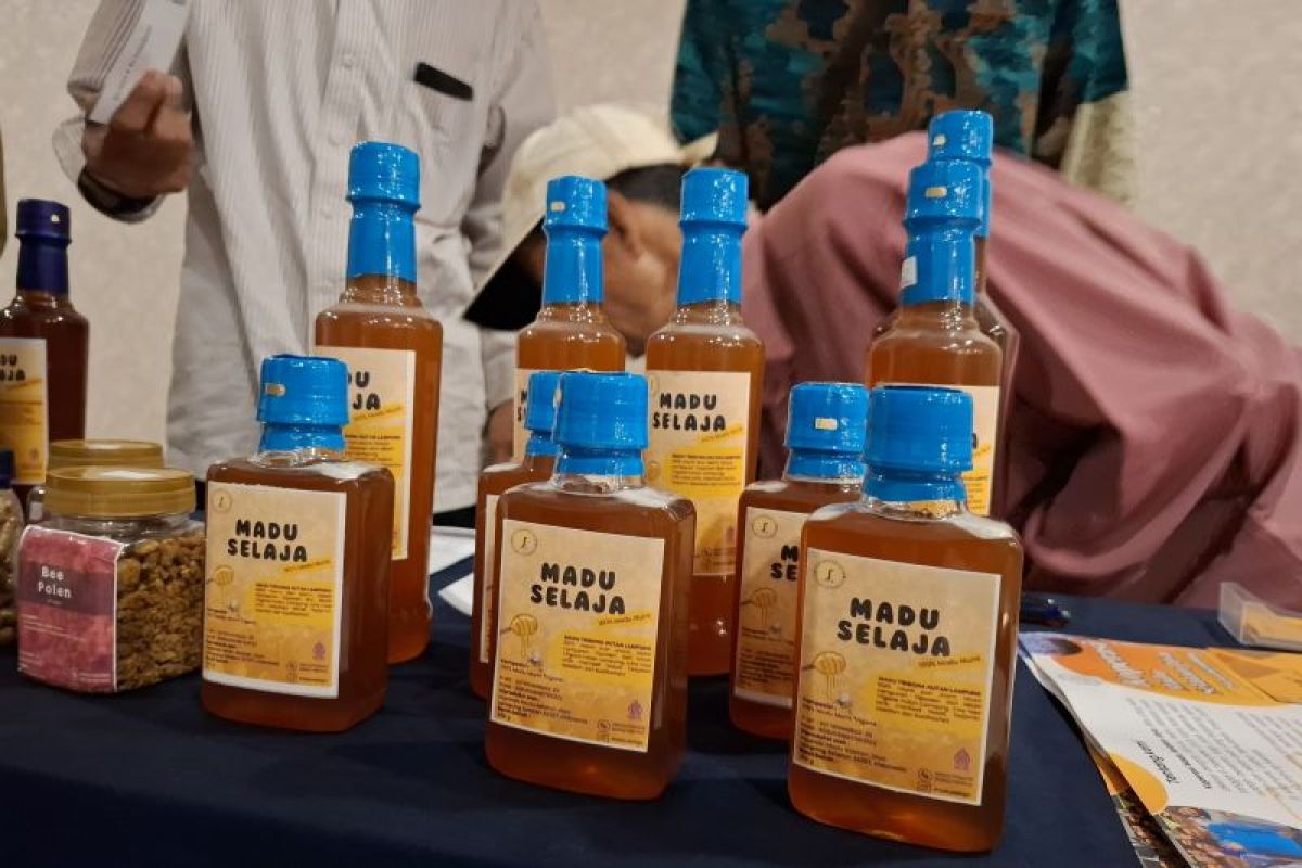 Sebanyak 13 KUPS di Lampung masuk level platinum