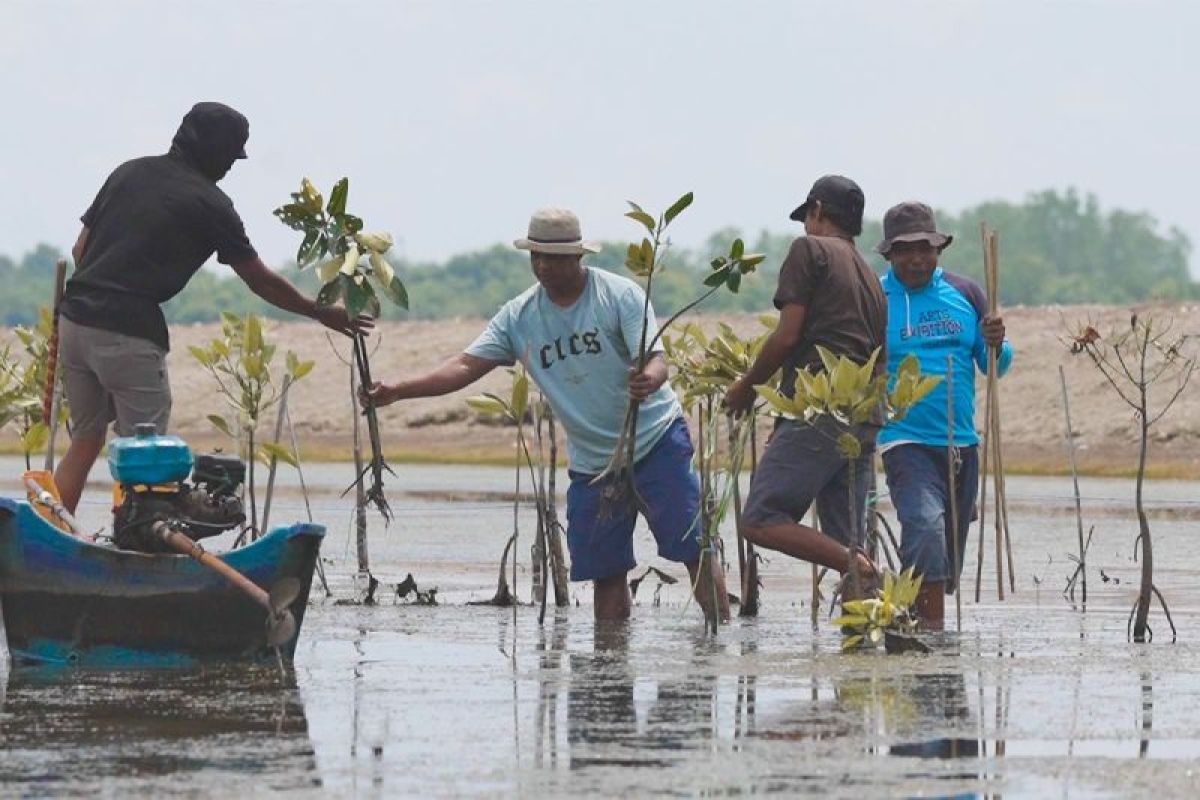M4CR Dorong Pemutakhiran Data Guna Perkuat Perencanaan Rehabilitasi Hutan dan Lahan