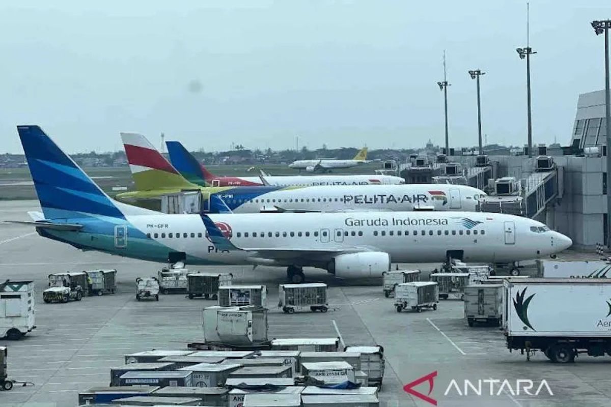Illustration - Garuda Indonesia and Pelita Air aircraft are parked at Soekarno-Hatta International Airport in Tangerang, Banten. (ANTARA/Harianto) (Ảnh: Antara News)