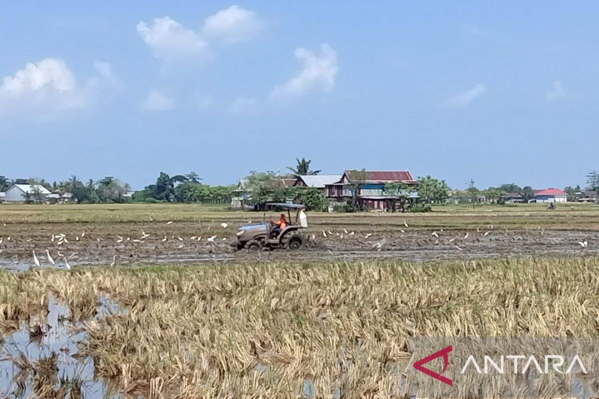 Bupati Sidrap kerahkan mobil tangki mengairi sawah