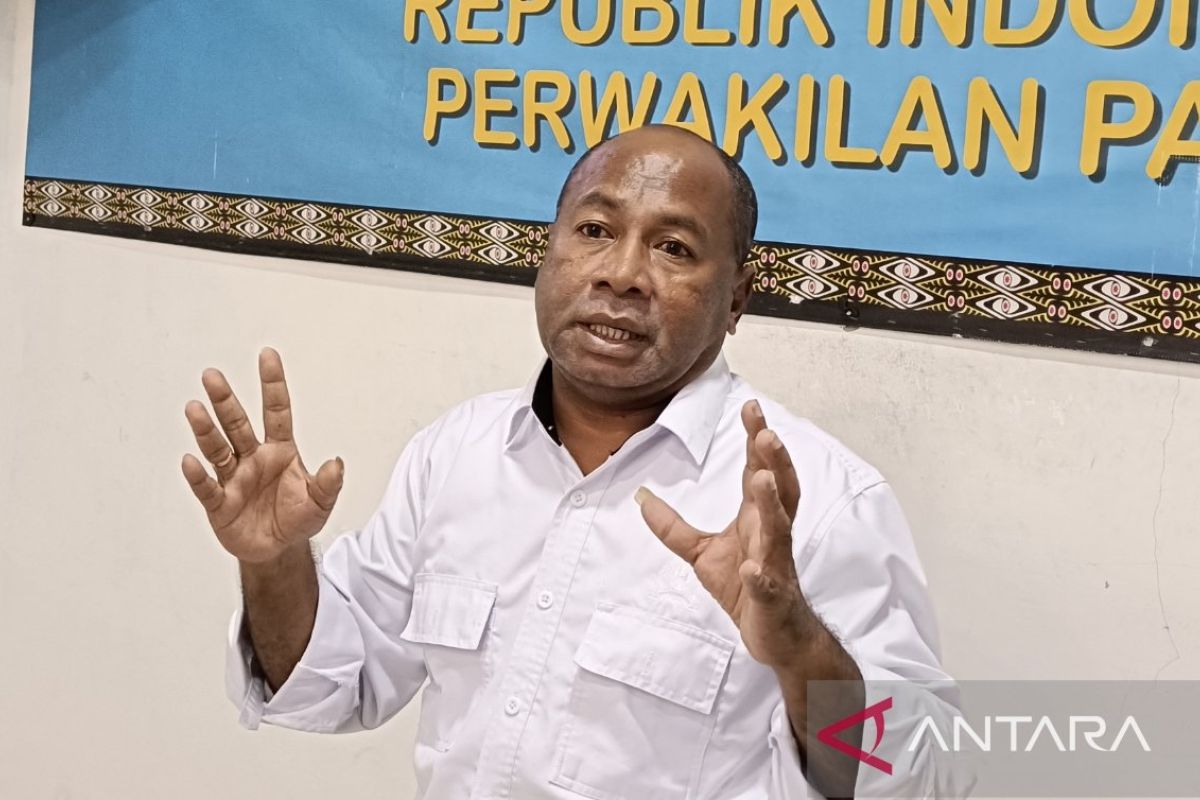 Komnas HAM Papua dorong gubernur lakukan koordinasi konflik Intan Jaya