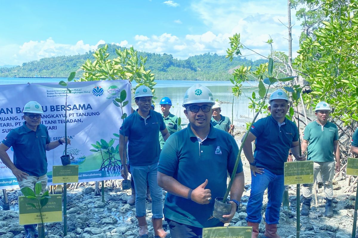 Astra Agro dorong pelestarian pesisir melalui penanaman bakau di Pasangkayu