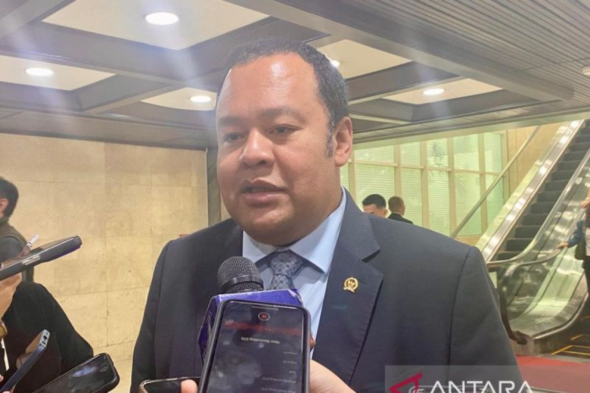 Komisi XI pastikan Indonesia tetap patuhi "global minimum tax" di PFII