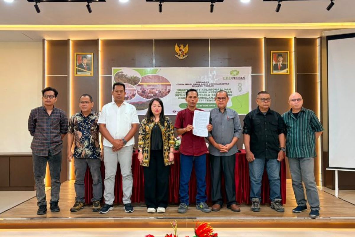 FMPSB-Sulteng siap kawal implementasi sawit berkelanjutan di Sulawesi Tengah