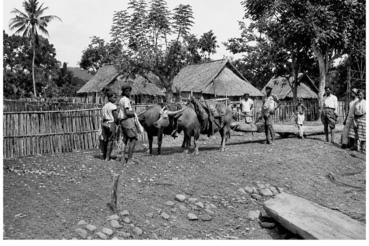 Pabowat Adji: Ketika Pekerjaan Menjadi Identitas di Kesultanan Sumbawa