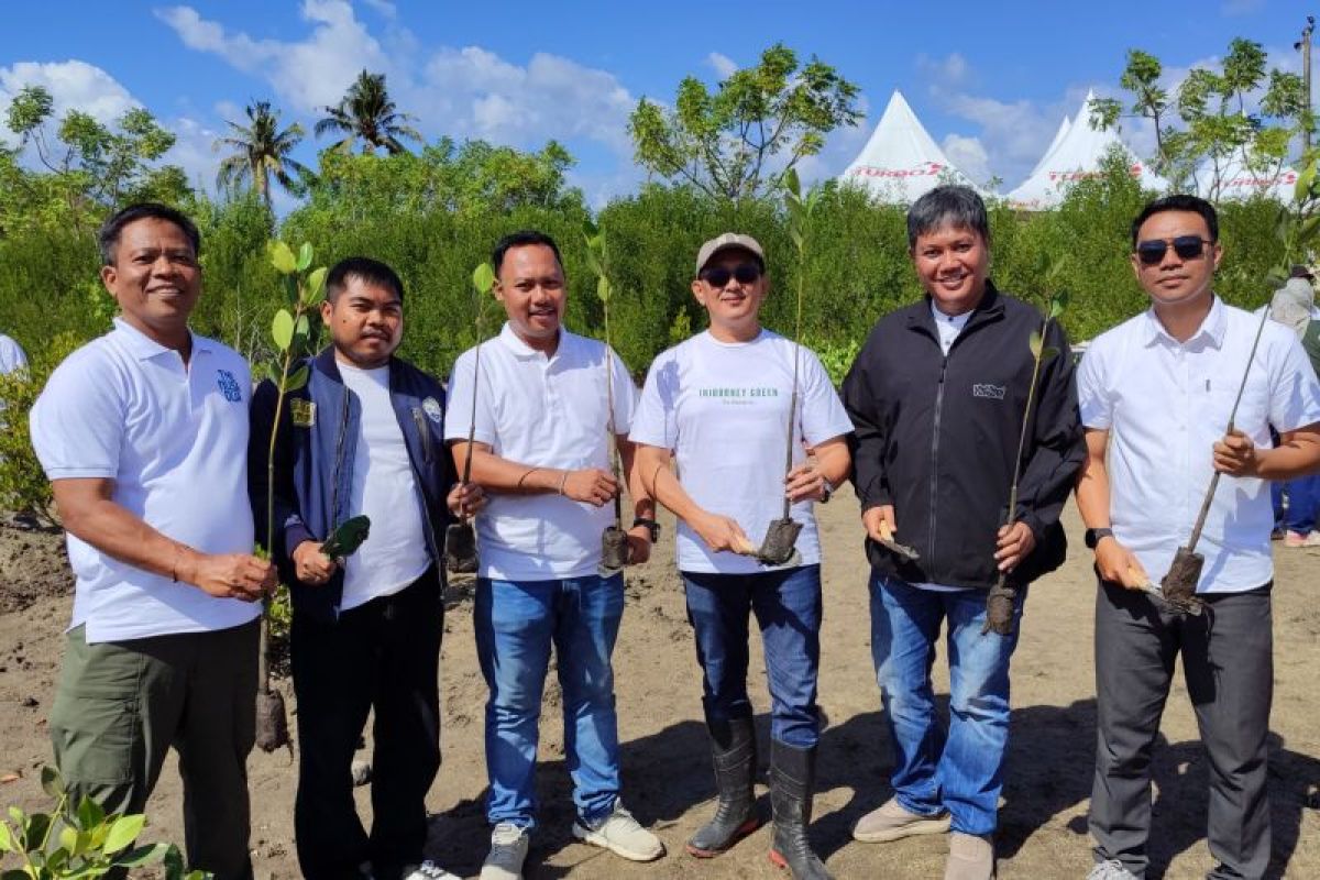 Zona Timur Kawasan Mandalika NTB ditanami Mangrove