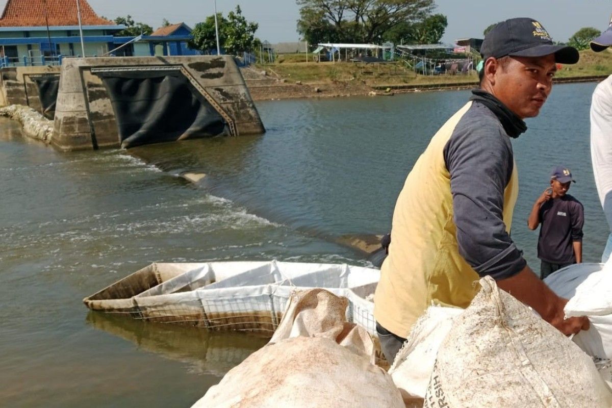 Kementerian PU lakukan penanganan darurat di Bendung Karet Welahan Bum