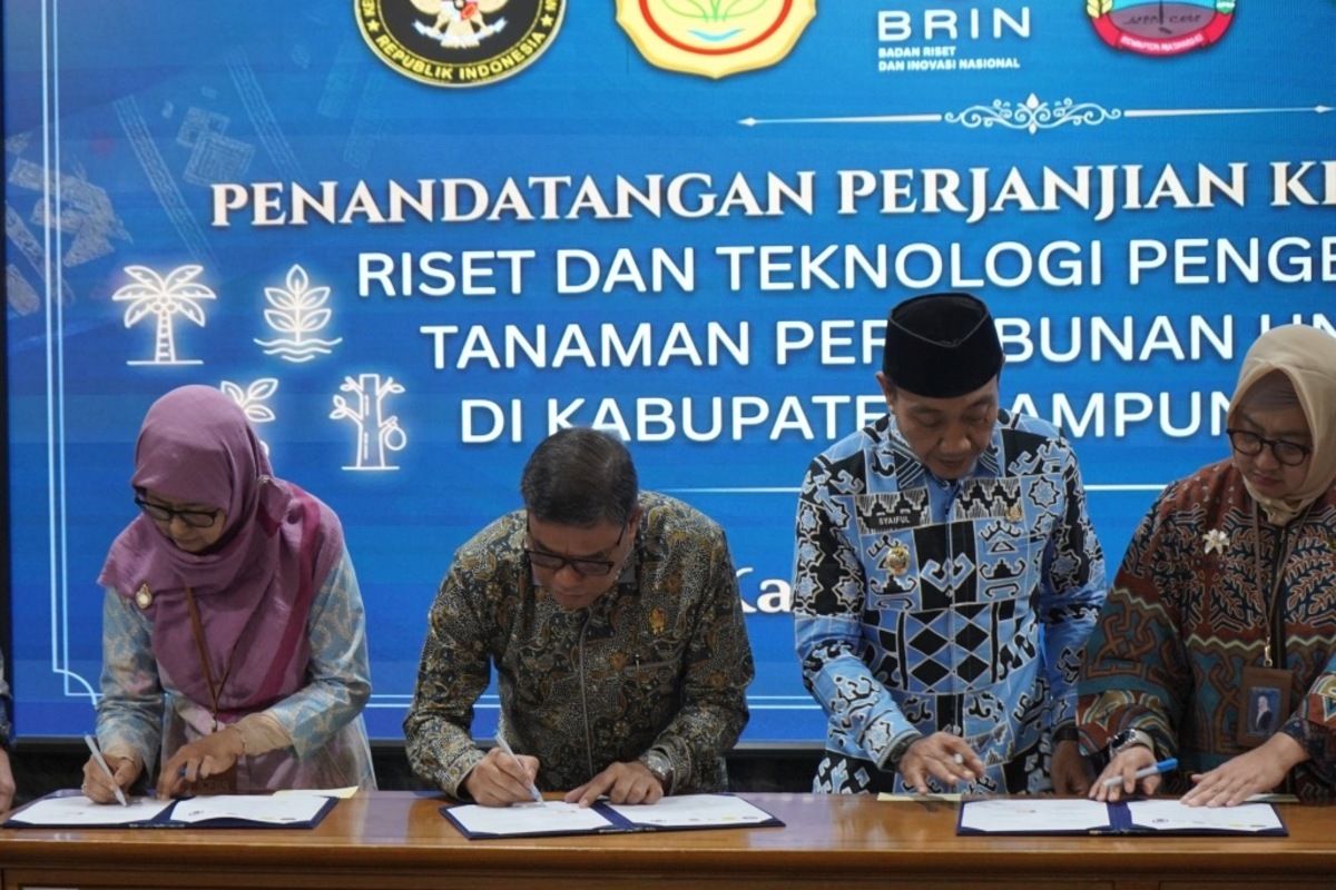 PTPN I jadi pusat riset bibit unggul perkebunan nasional di Lamsel