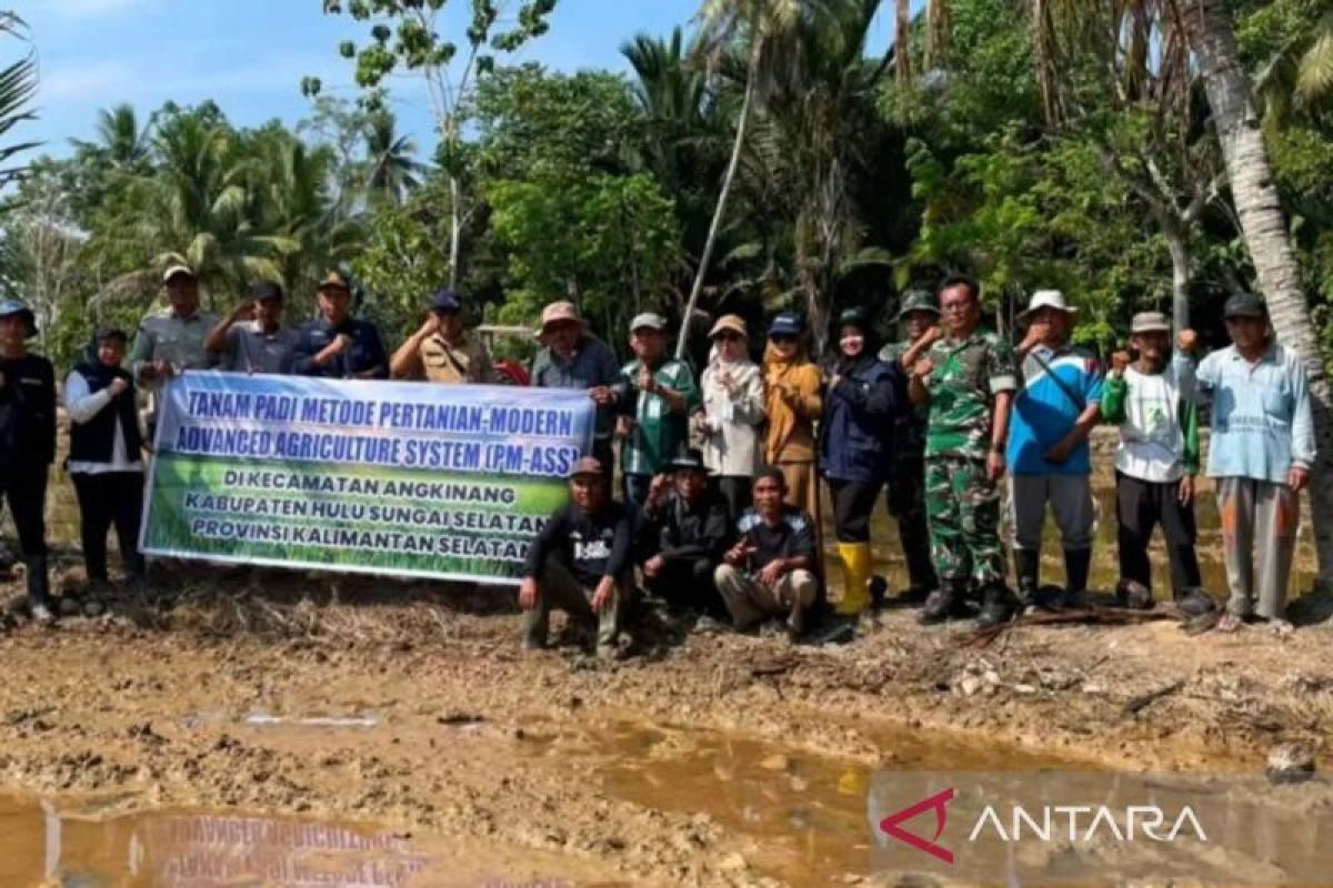 Pemkab HSS terapkan metode pertanian modern dengan padi IP200
