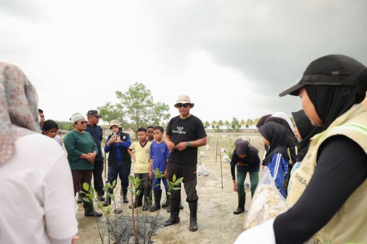 Hari Mangrove Sedunia, Bintan Resorts bersama warga pesisir tanam 1.000 bibit mangrove