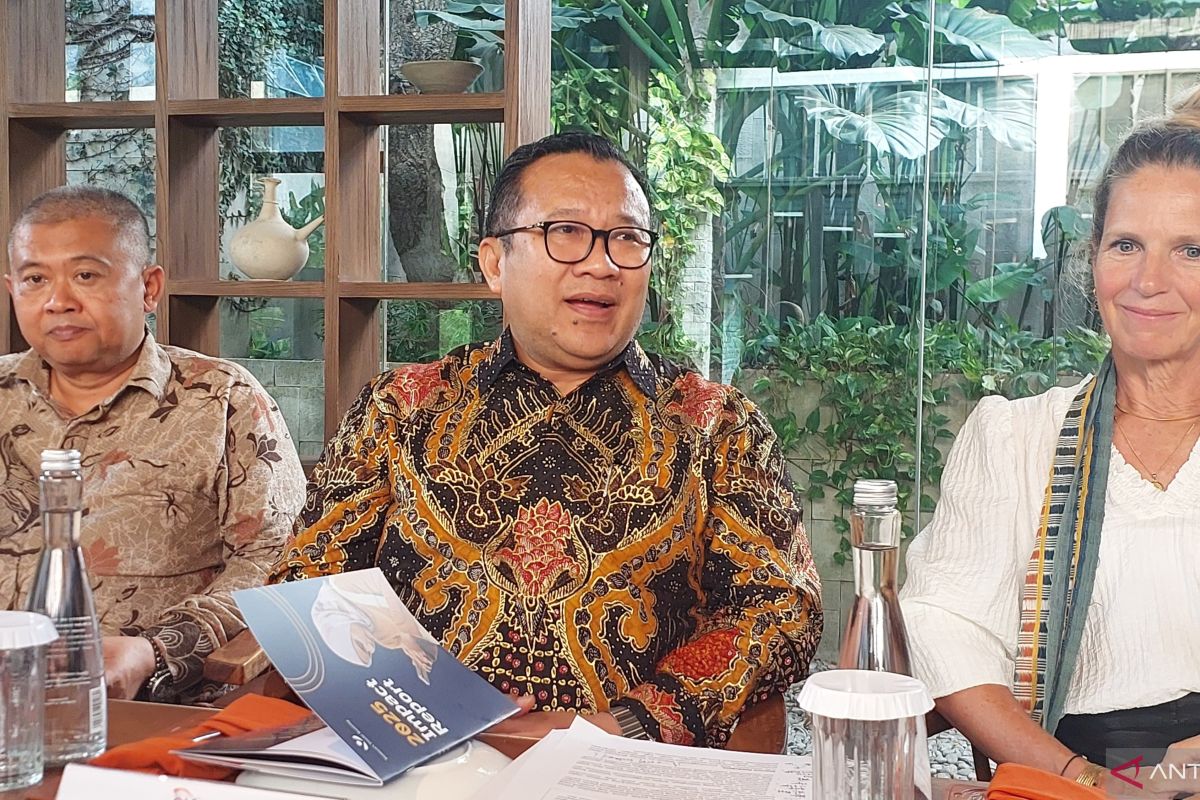 Strategi OJK perluas akses pembiayaan UMKM lewat kredit alternatif