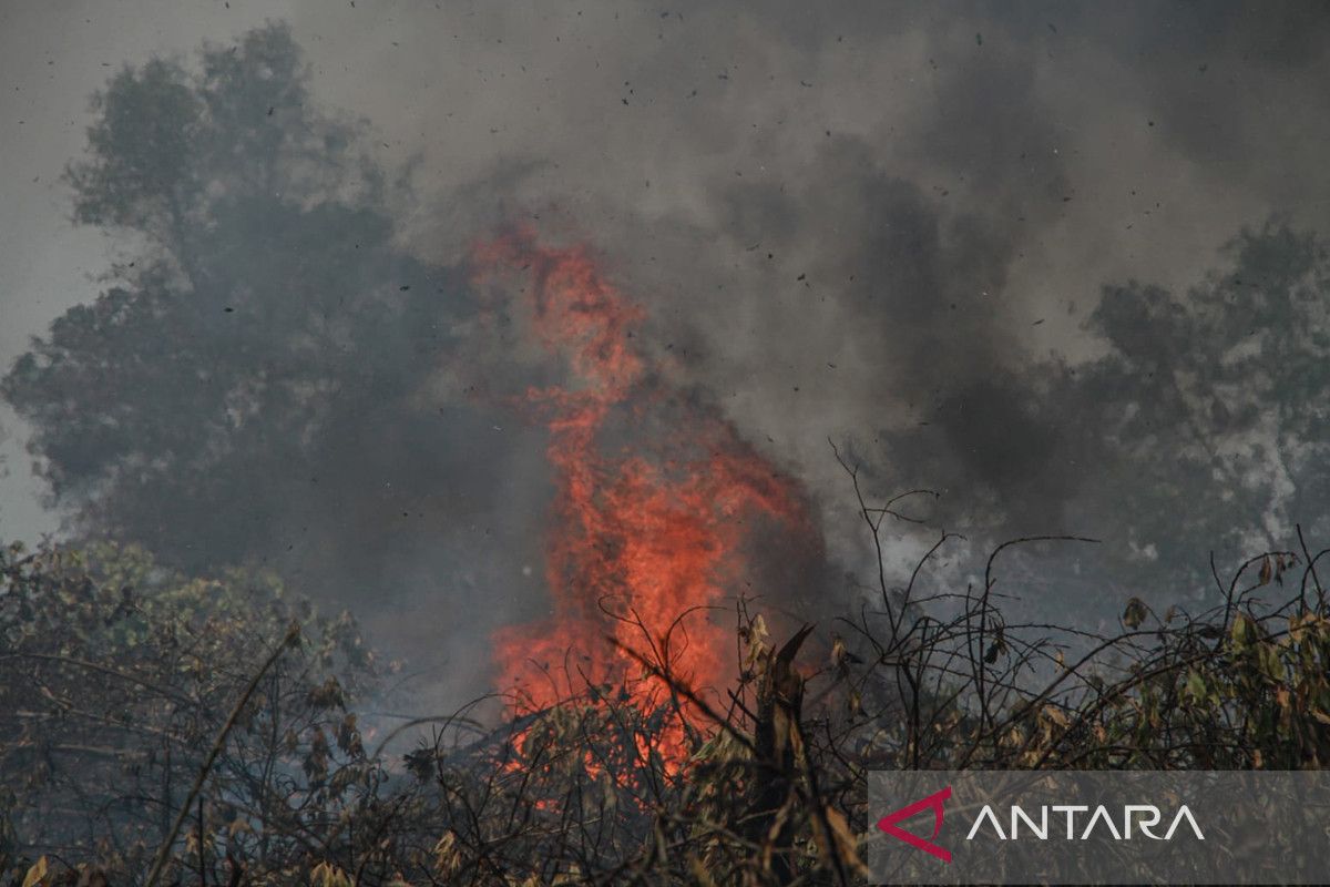 Pemadaman kebakaran hutan dan lahan di Palangka Raya