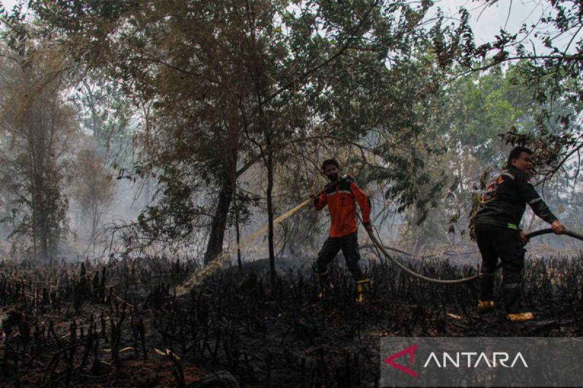 BNPB pastikan penanganan maksimal atas karhutla di Kalteng