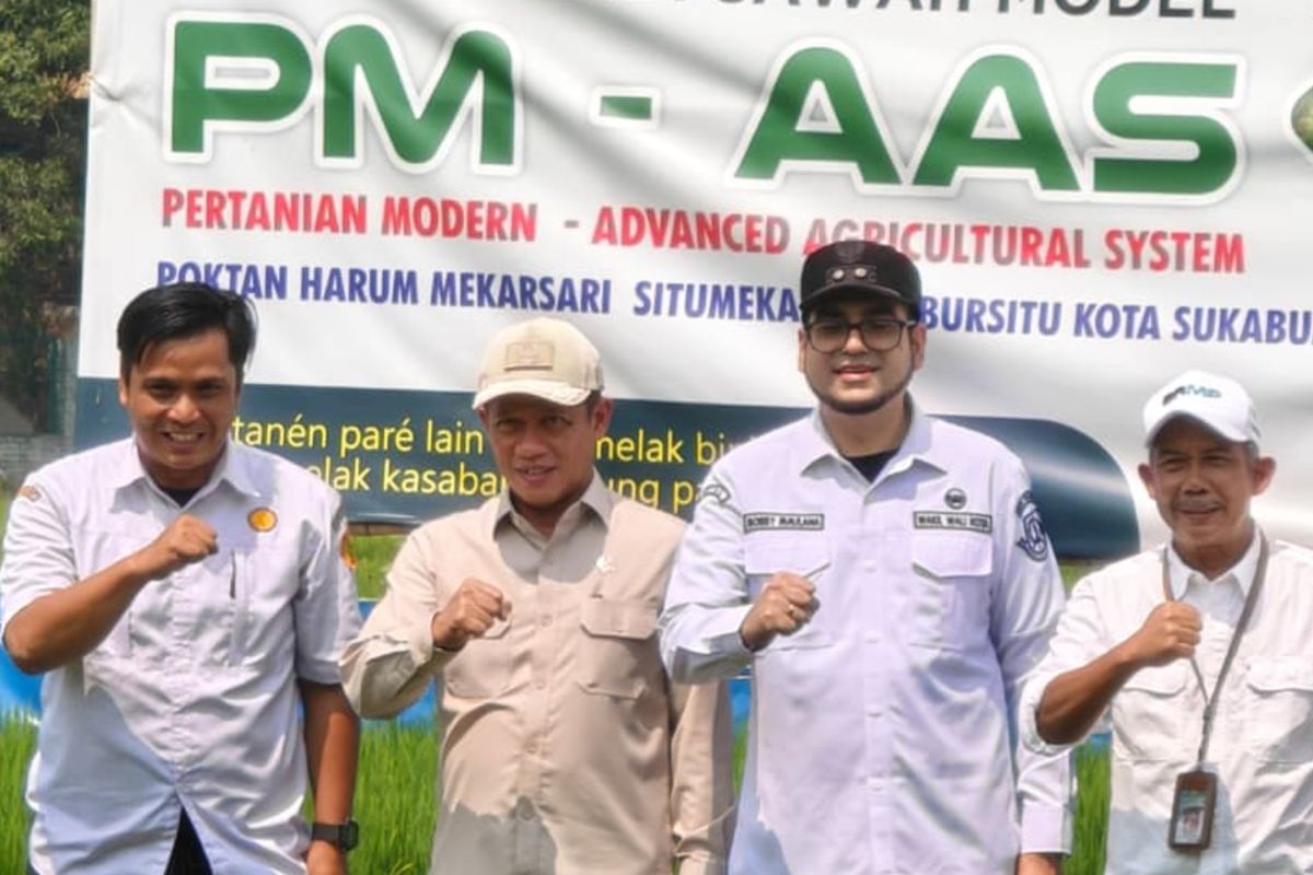Wamenko Pangan: Demplot PMAAS Sukabumi dapat hasilkan 10 ton padi