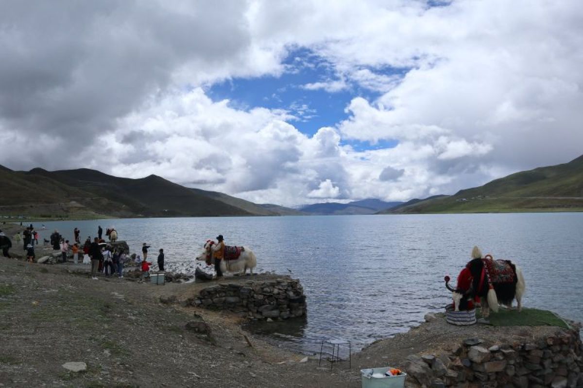 Catatan jurnalis ANTARA dari Xizang: Mengenal obat tradisional Tibet dan terapi Lum