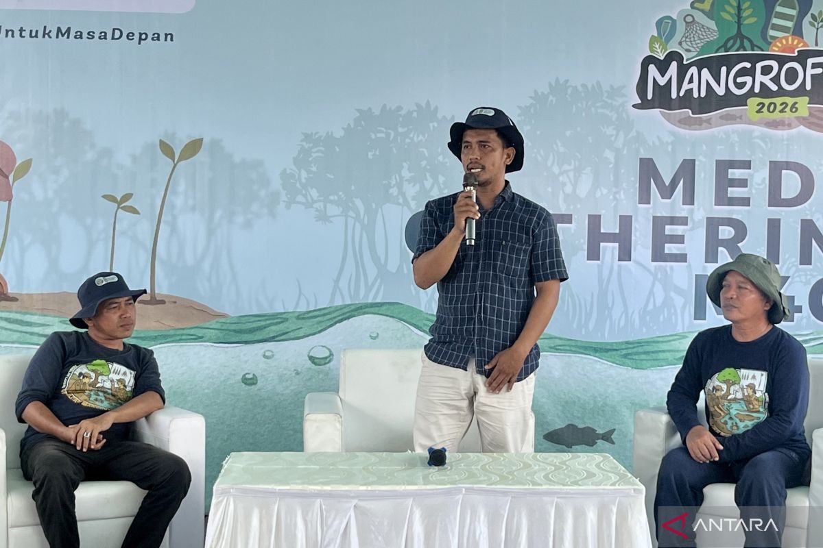 Pola "silvofishery" tingkatkan minat petambak rehabilitasi mangrove