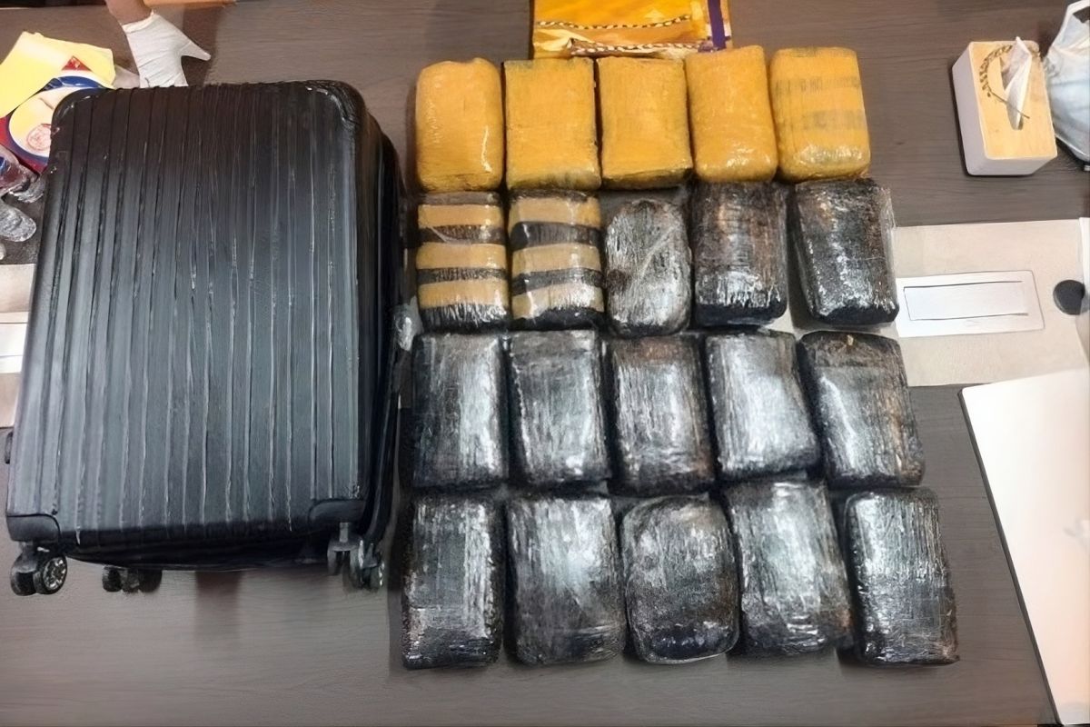 Bareskrim gagalkan peredaran ganja 20 kilogram ke Kampung Bahari